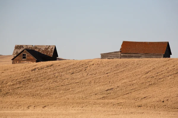 Antiguos edificios de granja en la pradera —  Fotos de Stock