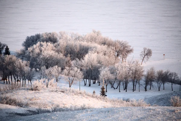 Widok zima buffalo Funt jezioro park — Zdjęcie stockowe