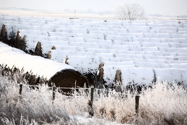 Sníh v zimě zastřešený balíků sena — Stock fotografie