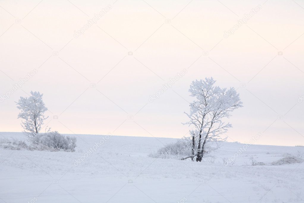 Frosty winter day in Saskatchewan
