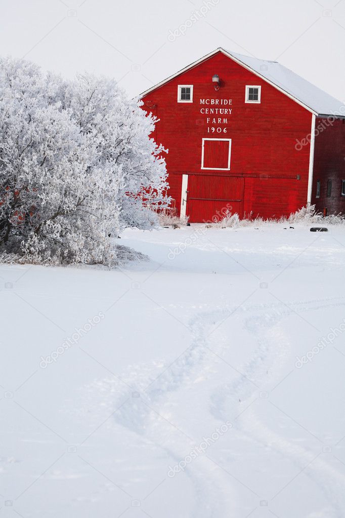 Old red barn in winter