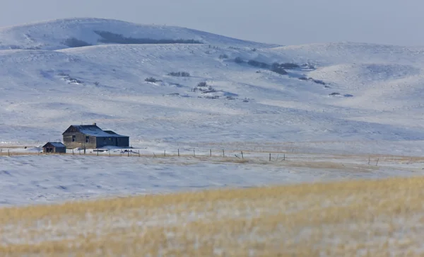 Gamla homestead vinter — Stockfoto