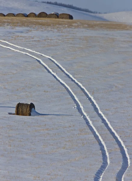 Saman balya ve Traktör parçaları — Stok fotoğraf