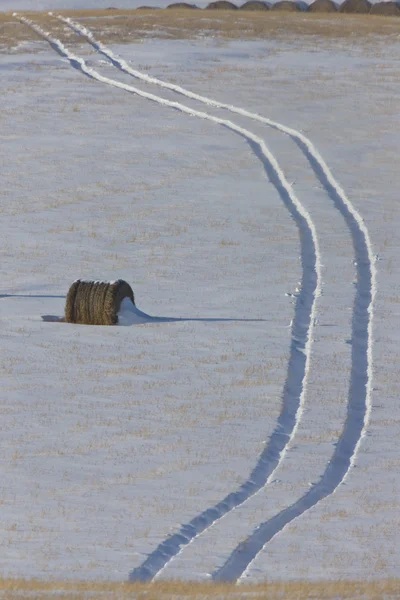 stock image Hay Bale and tractor tracks