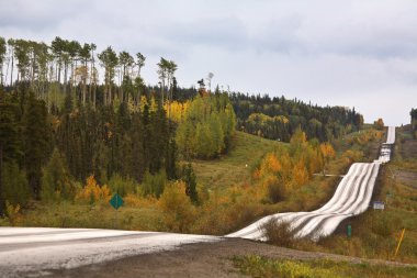 Logging road in scenic Alberta clipart