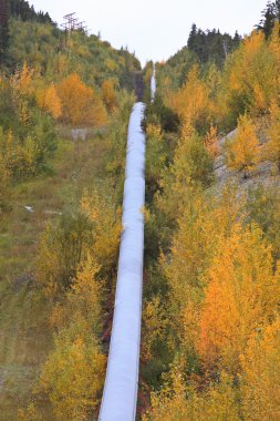 Pipe going over mountain pass in autumn clipart