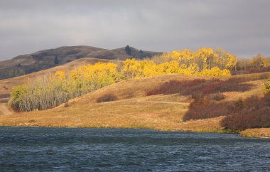 reesor Gölü alberta Güz