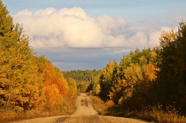 sonbahar yaprakları saskatchewan içinde değiştirme