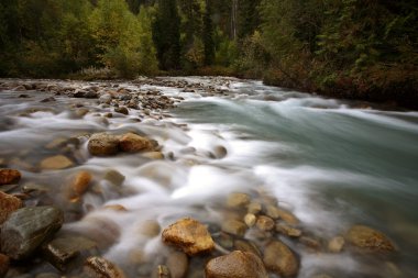 su akış güzel british Columbia küçük dere boyunca