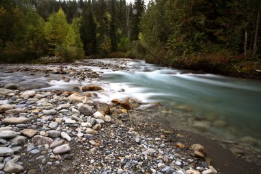 su akış güzel british Columbia küçük dere boyunca