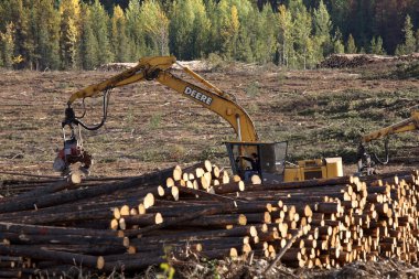 Logging machine piling logs in beautiful British Columbia clipart