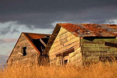 deliapidated boerderij graanschuren in schilderachtige saskatchewan