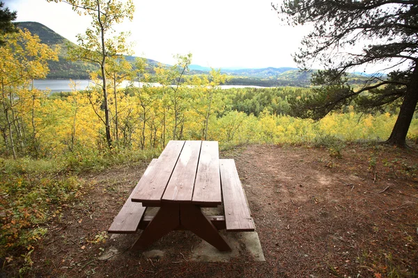 Park bench at Musreau Lake — Stock Photo, Image
