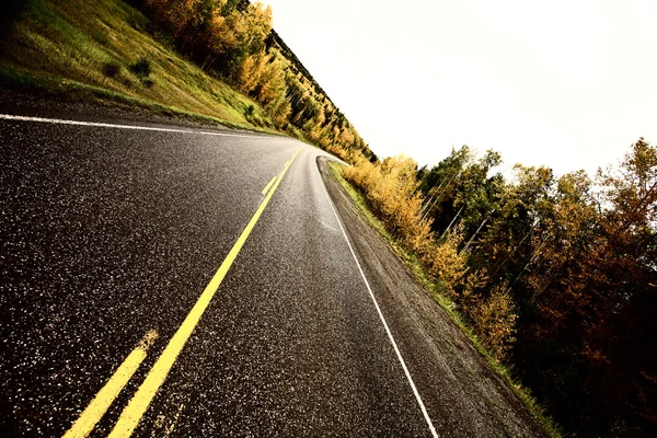 Mittlinjesvällning längs en asfalterad väg under hösten — Stockfoto