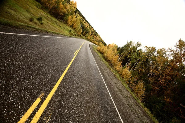 Linie środkowe na drodze betonowa jesienią — Zdjęcie stockowe
