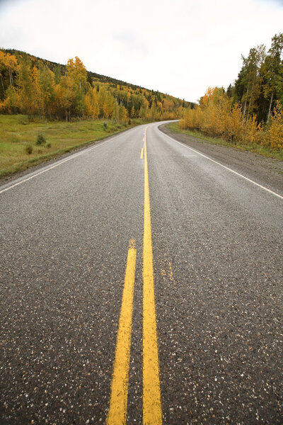 Centerlines along a paved road in autumn