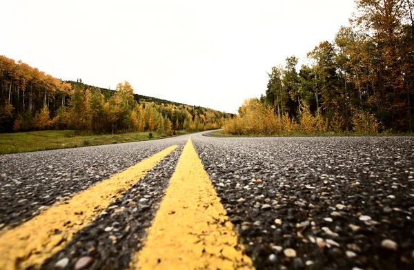 Mittlinjesvällning längs en asfalterad väg under hösten — Stockfoto