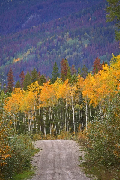 Estrada de exploração madeireira através das montanhas no outono — Fotografia de Stock