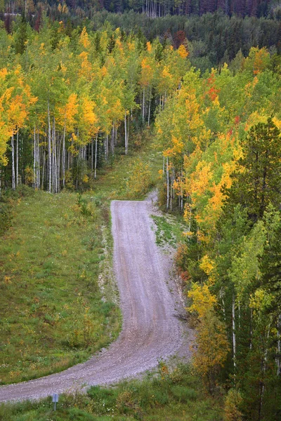 Лісозаготівельна дорога через гори восени — стокове фото