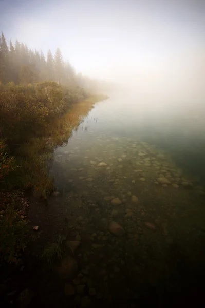 Morgennebel am saskatchewan River — Stockfoto