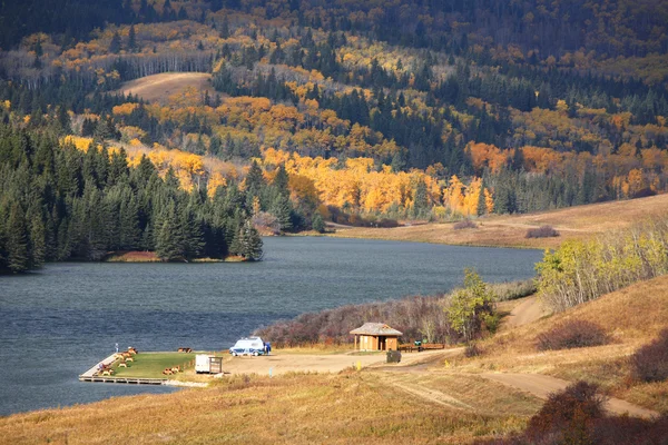 秋の reesor 湖アルバータ州 — ストック写真