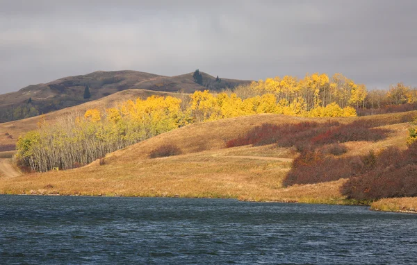 Reesor tó alberta őszén — Stock Fotó