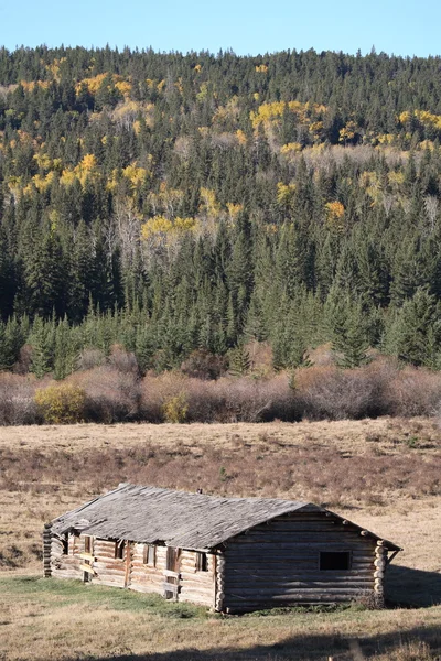 Old abandoned Saskatchewan farm buidlings — Stock Photo, Image