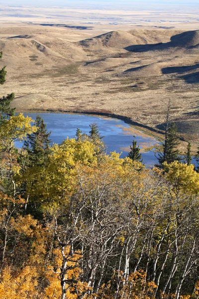 Reesor озеро Альберти восени — стокове фото
