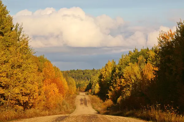 Zmiany liści jesienią w saskatchewan — Zdjęcie stockowe