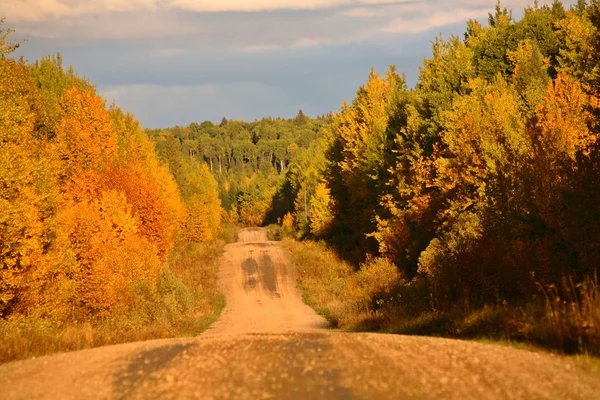 Mudança de folhas de outono em Saskatchewan — Fotografia de Stock