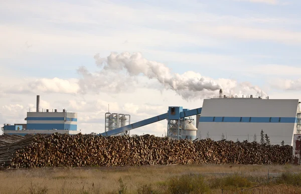 çayır göl pompa ve kağıt fabrikası doğal saskatchewan içinde