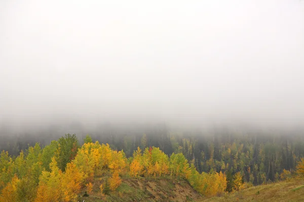 Marken dimma i natursköna alberta — Stockfoto