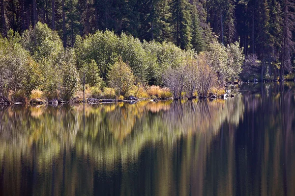 Reflexões de outono em Alberta cênica — Fotografia de Stock