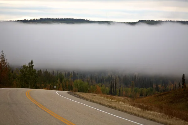 在风景秀丽的艾伯塔省地面雾 — 图库照片