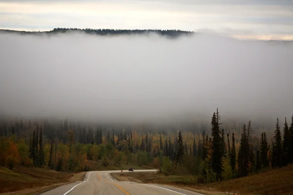Ground fog in scenic Alberta — Stock Photo, Image