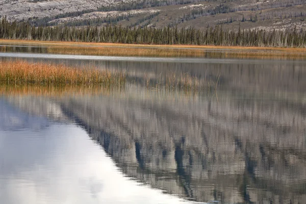 Berg reflektioner i natursköna alberta — Stockfoto