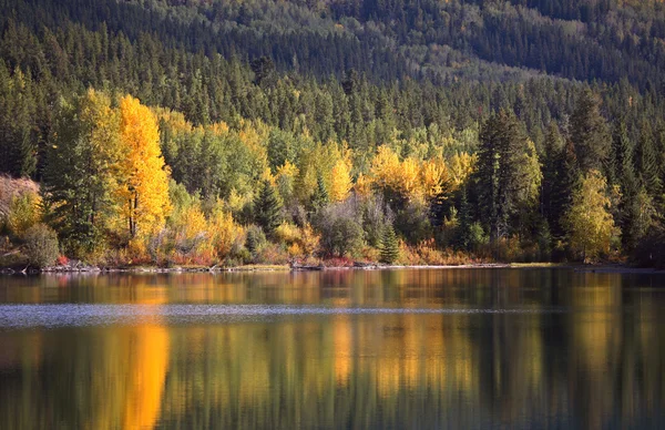 Höstens reflektioner i natursköna alberta — Stockfoto