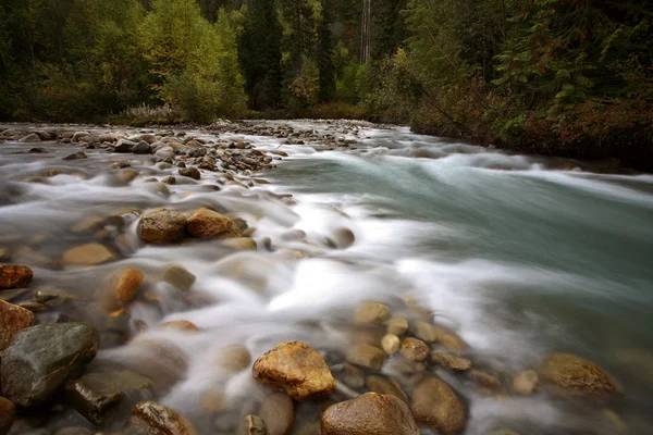 Fluxo de água ao longo de Small Creek na bela British Columbia — Fotografia de Stock