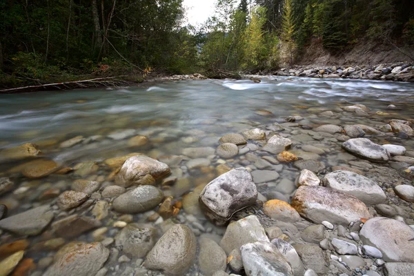 水流沿着小河在美丽的不列颠哥伦比亚省 — 图库照片