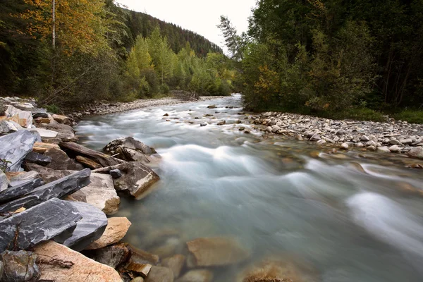 Water flow along Small Creek in beautiful British Columbia — Stock Photo, Image