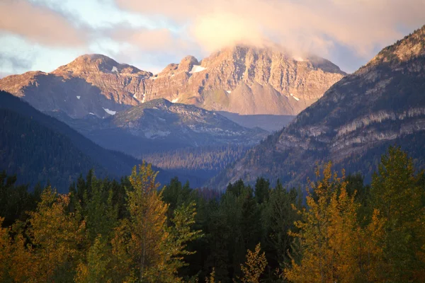 Rocky bergen langs pine pass in alberta — Stockfoto
