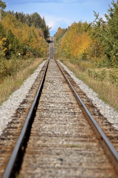 stock image Railroad Tracks during an Alberta autumn