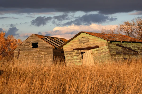 Granai agricoli Deliapidated in Saskatchewan scenico — Foto Stock