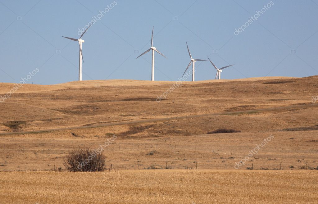 Wind farm south of Gull Lake Saskatchewan — Stock Photo © pictureguy