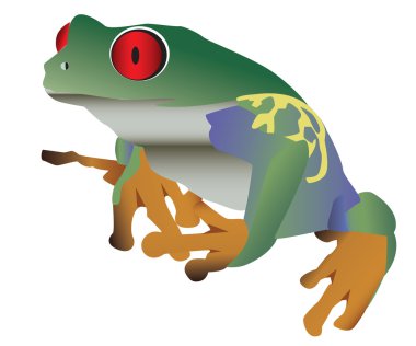 Red eyed colorful frog clipart