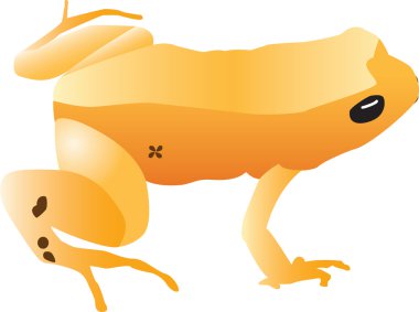 Yellow frog illustration clipart