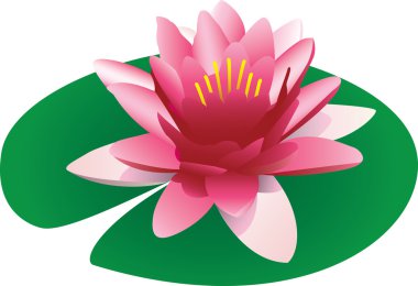 Illustration of a floating pink lotus on a lily pad, isolated on a white background.