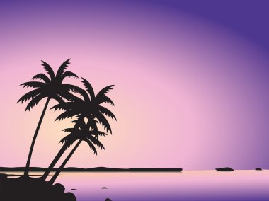 tropikal palmiye ağaçları ve deniz
