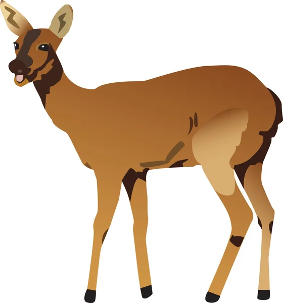 一只鹿的矢量的插图 — 图库矢量图片