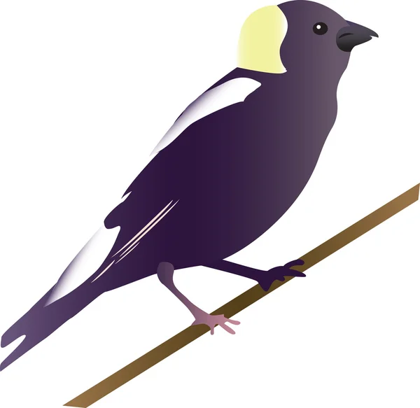 Una Ilustración Pájaro Goglu — Archivo Imágenes Vectoriales